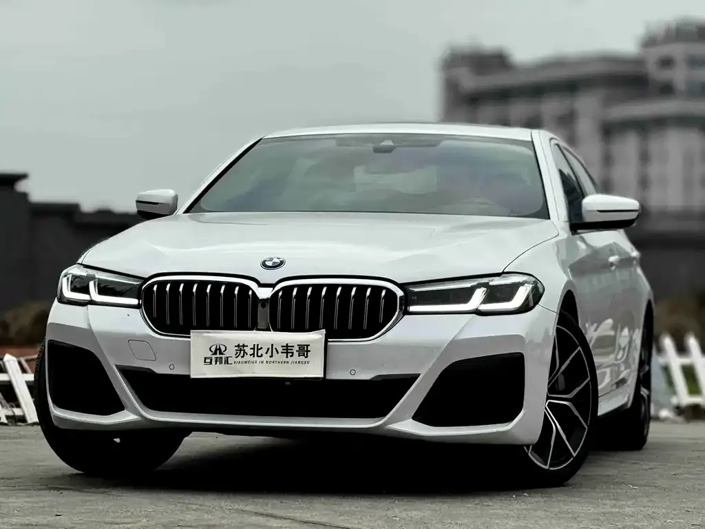 BMW 5 Series 2023 из CN, фото 4