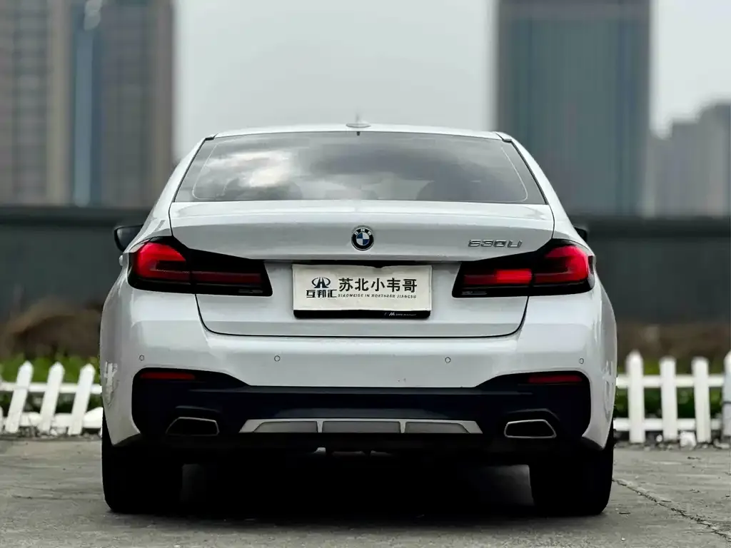 BMW 5 Series 2023 из CN, фото 3