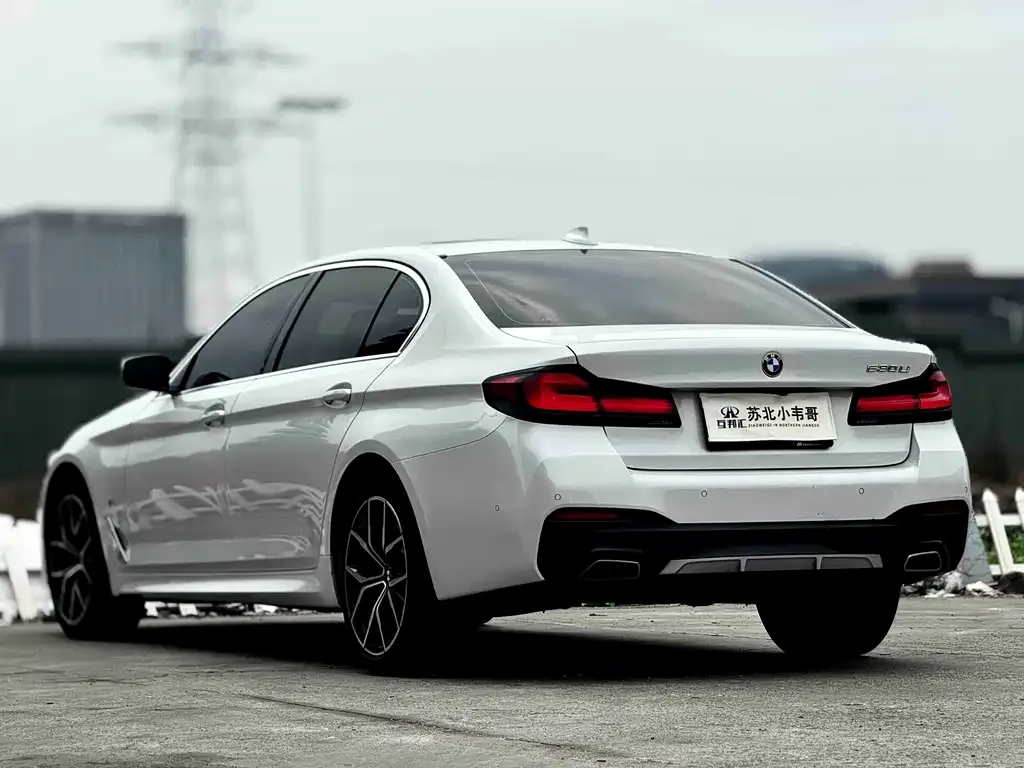 BMW 5 Series 2023 из CN, фото 6