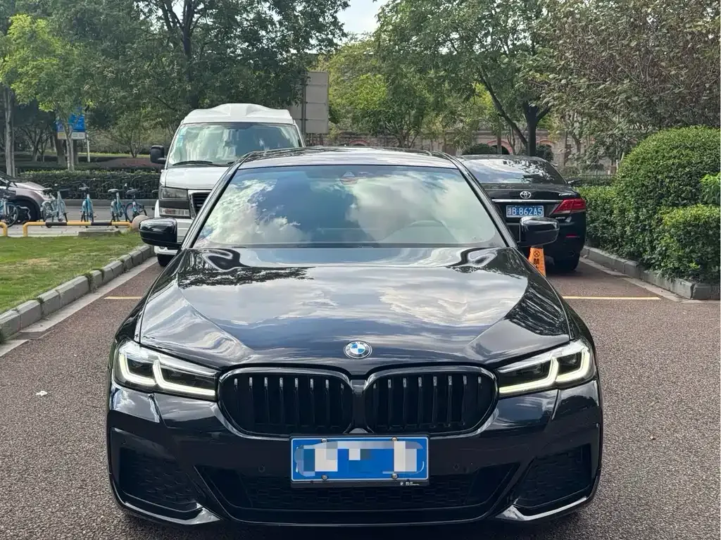 BMW 5 Series 2022 из CN, фото 8