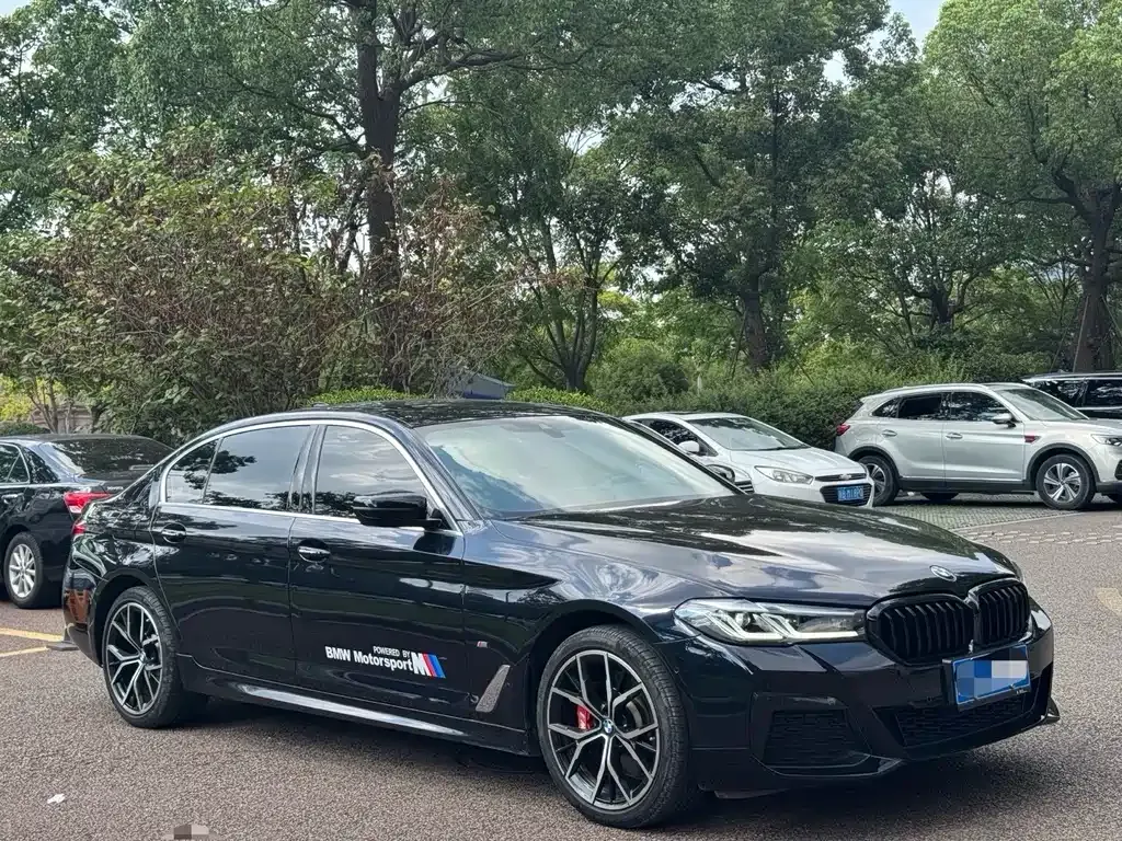 BMW 5 Series 2022 из CN, фото 9