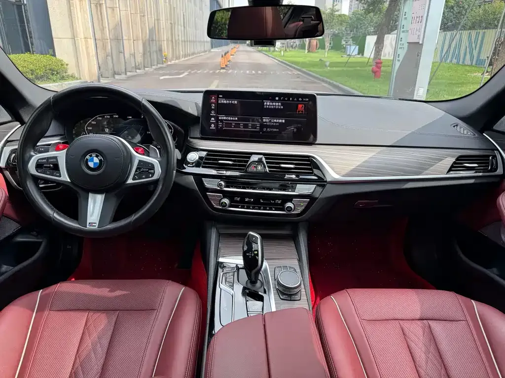 BMW 5 Series 2022 из CN, фото 6