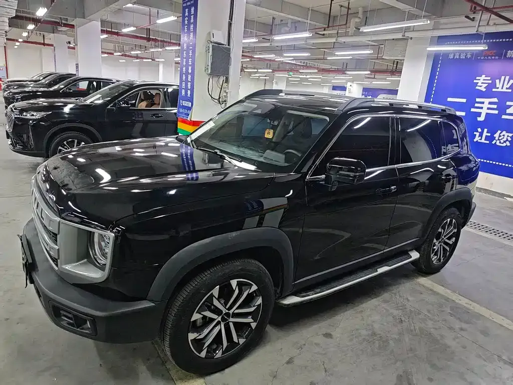 Haval Big Dog 2025 из CN, фото 6