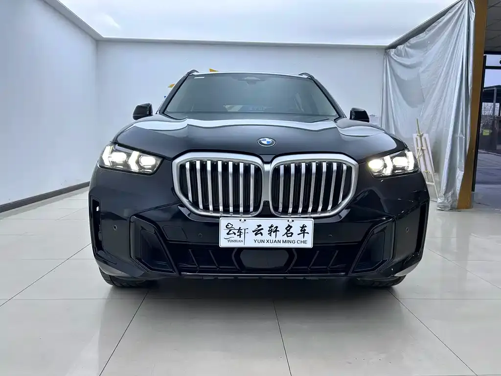 BMW X5 — фото 4