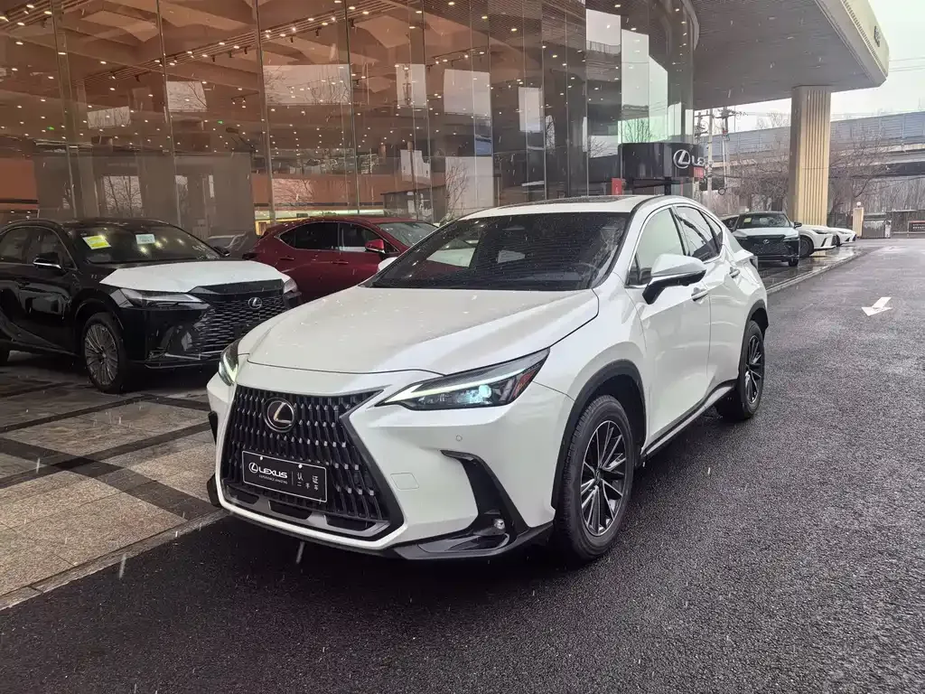 Lexus NX 2023 из CN, фото 1
