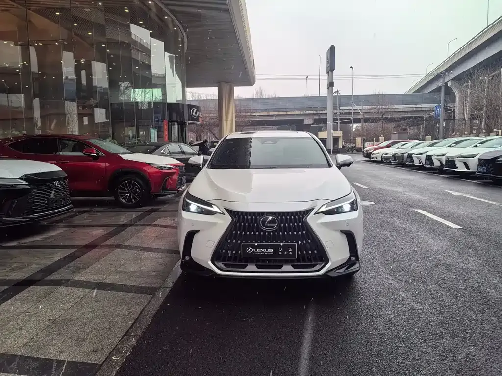 Lexus NX 2023 из CN, фото 5