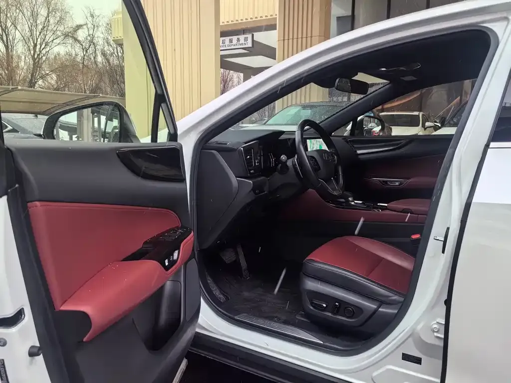 Lexus NX 2023 из CN, фото 6