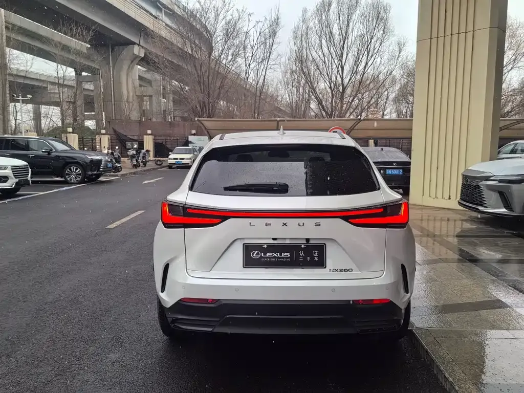 Lexus NX 2023 из CN, фото 7