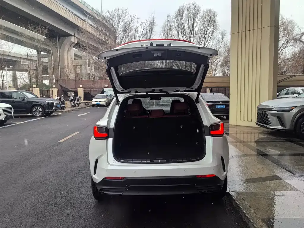 Lexus NX 2023 из CN, фото 9