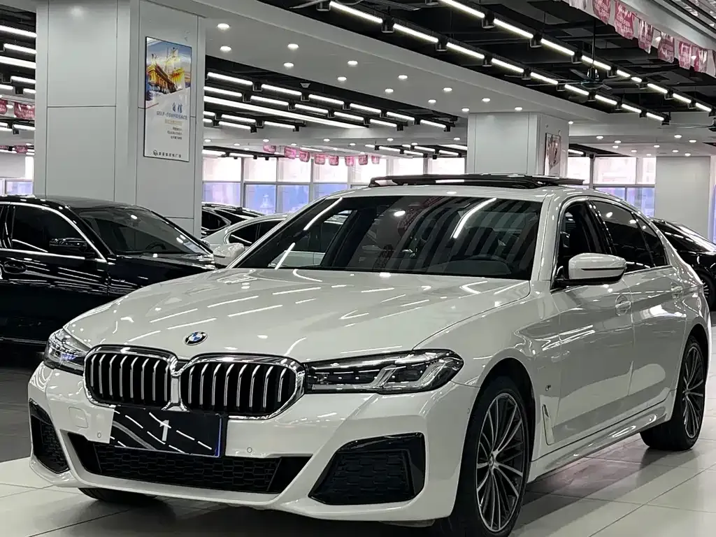 BMW 5 Series 2021 из CN, фото 1