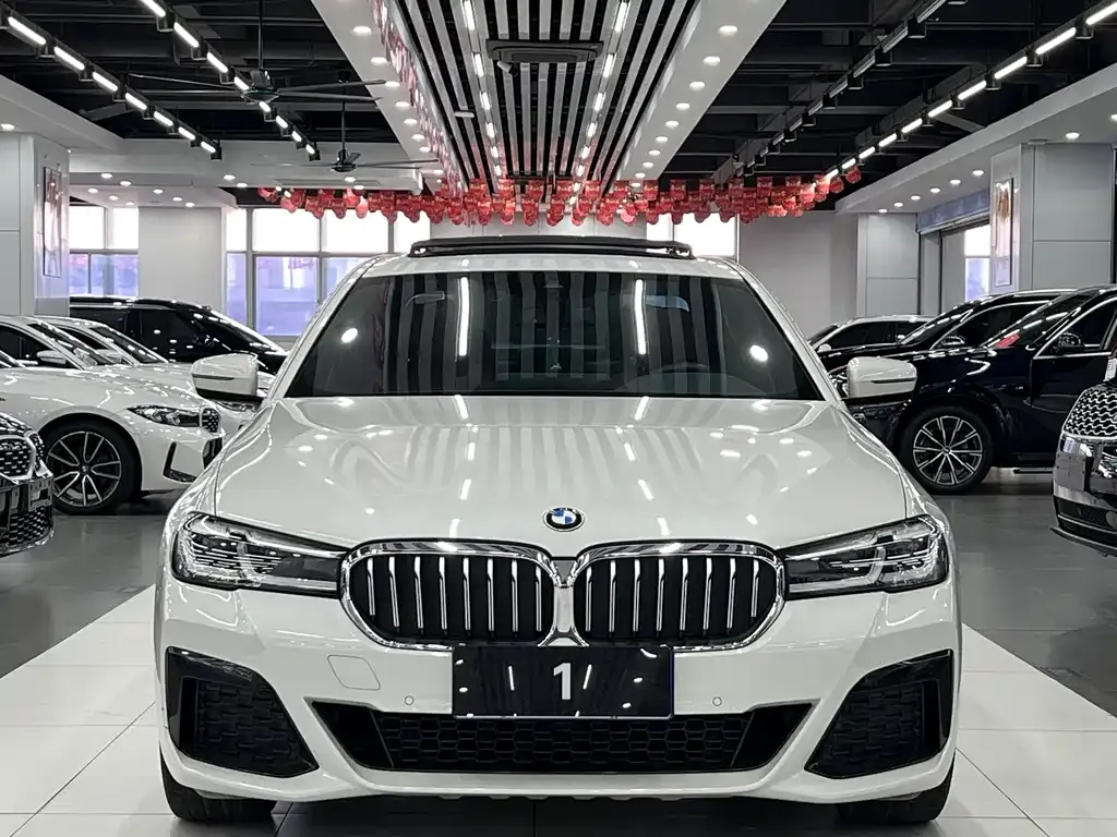 BMW 5 Series 2021 из CN, фото 5