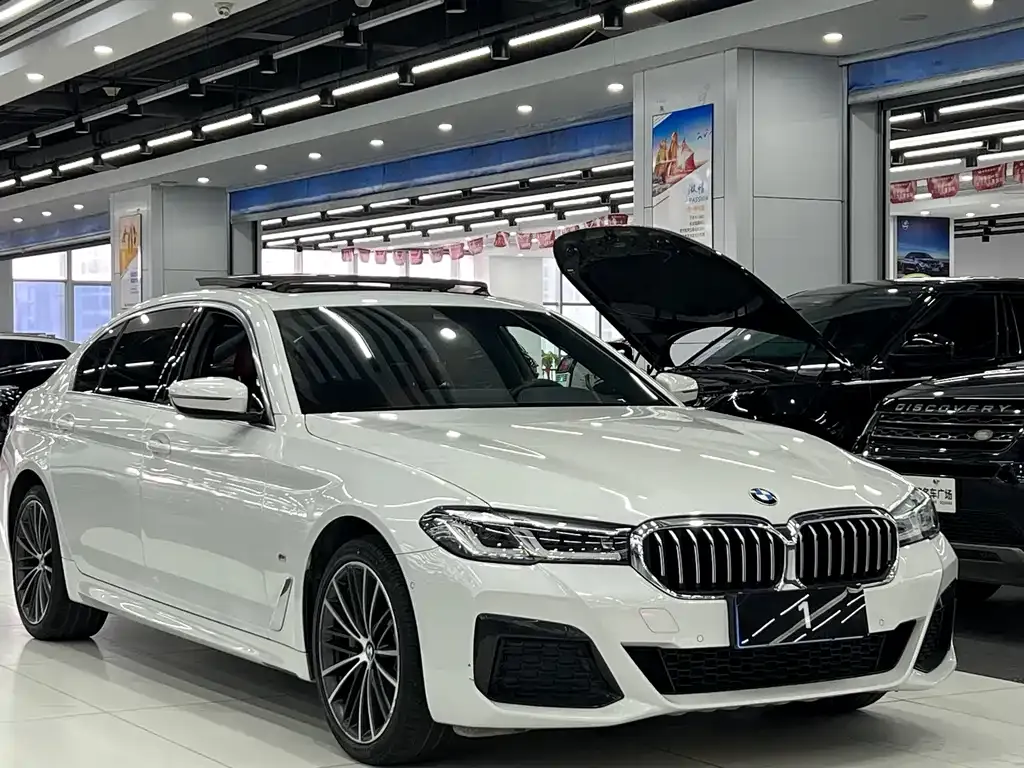 BMW 5 Series 2021 из CN, фото 4