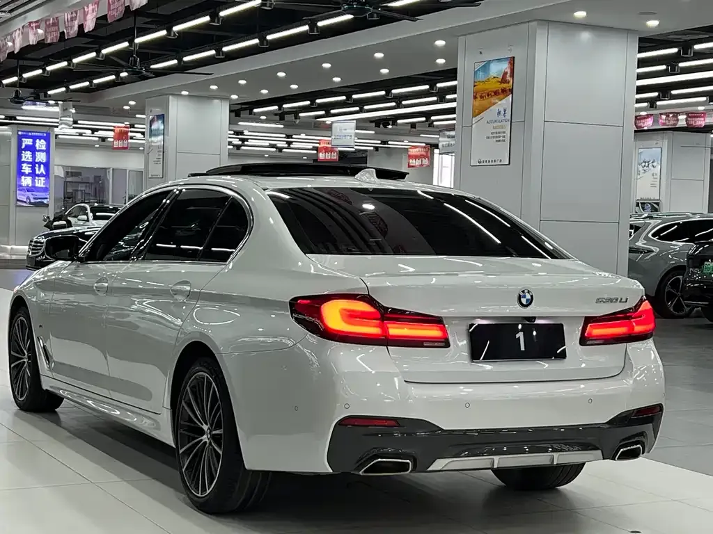 BMW 5 Series 2021 из CN, фото 3