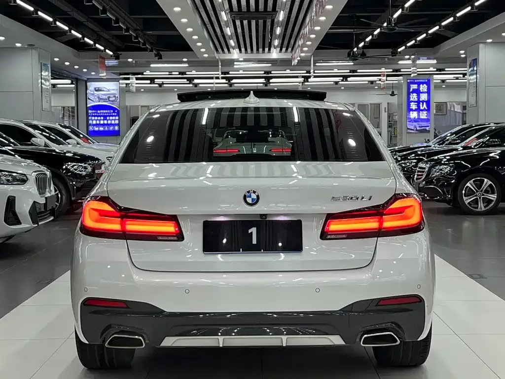BMW 5 Series 2021 из CN, фото 6