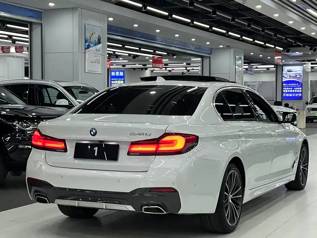 BMW 5 Series 2021 из CN, фото 2