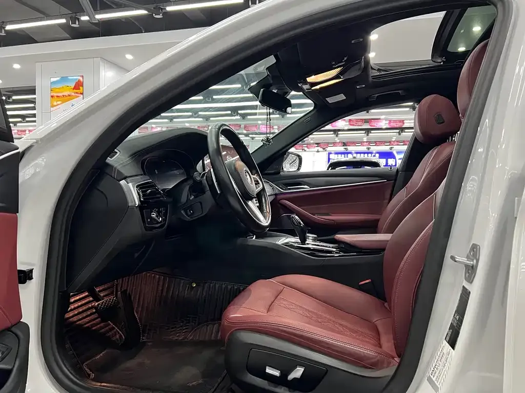 BMW 5 Series 2021 из CN, фото 7