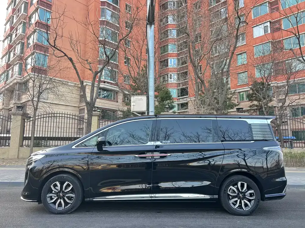 Hongqi HQ9 2022 из CN, фото 9