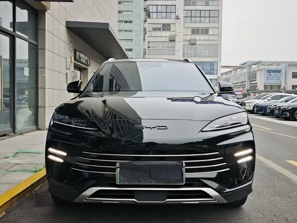 BYD PLUS New Energy 2024 из CN, фото 4