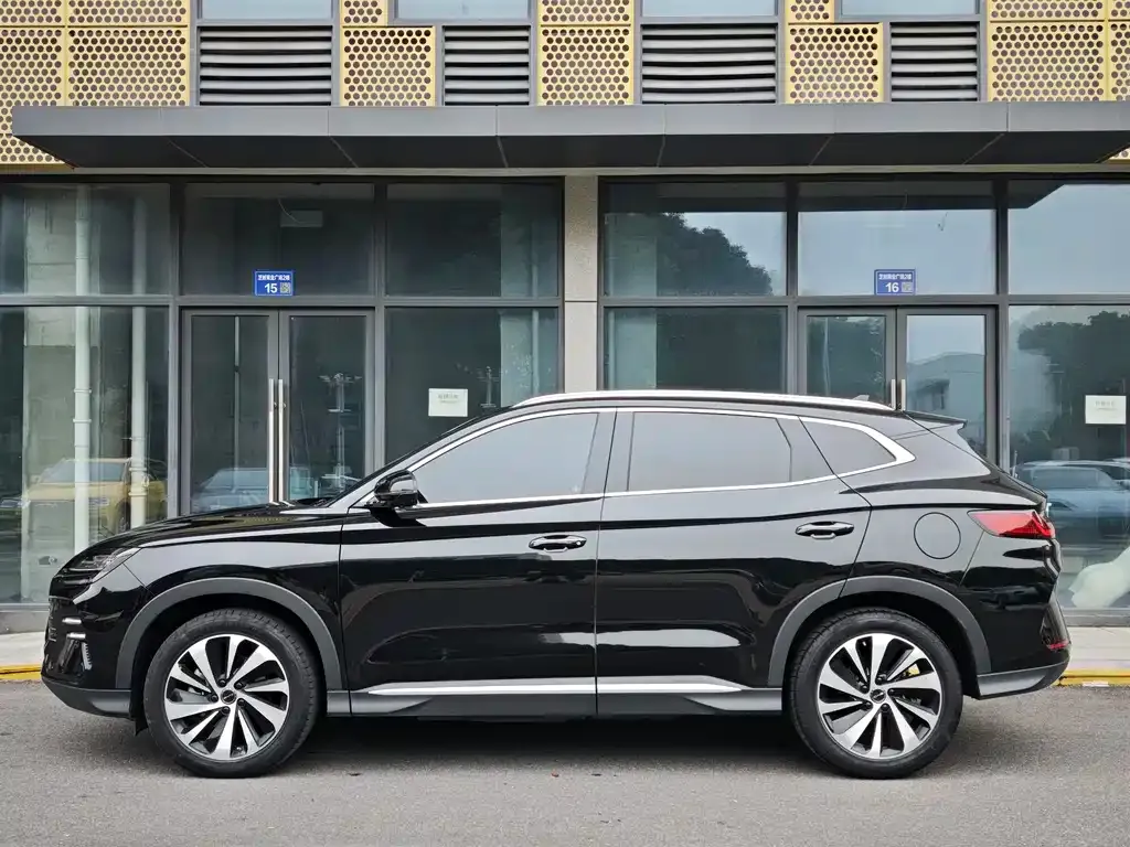 BYD PLUS New Energy 2024 из CN, фото 8