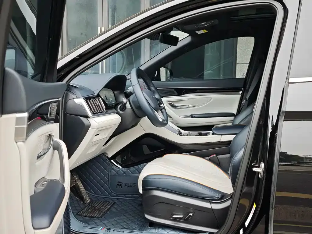 BYD PLUS New Energy 2024 из CN, фото 5