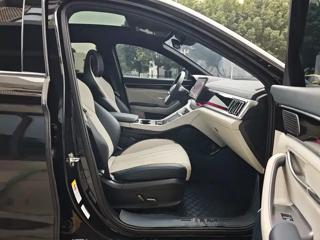 BYD PLUS New Energy 2024 из CN, фото 2