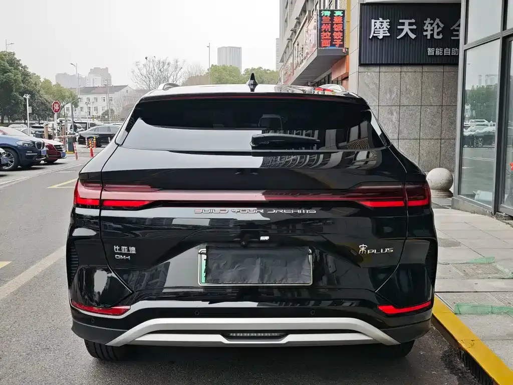 BYD PLUS New Energy 2024 из CN, фото 3