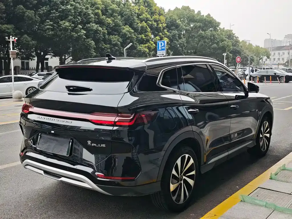 BYD PLUS New Energy 2024 из CN, фото 7