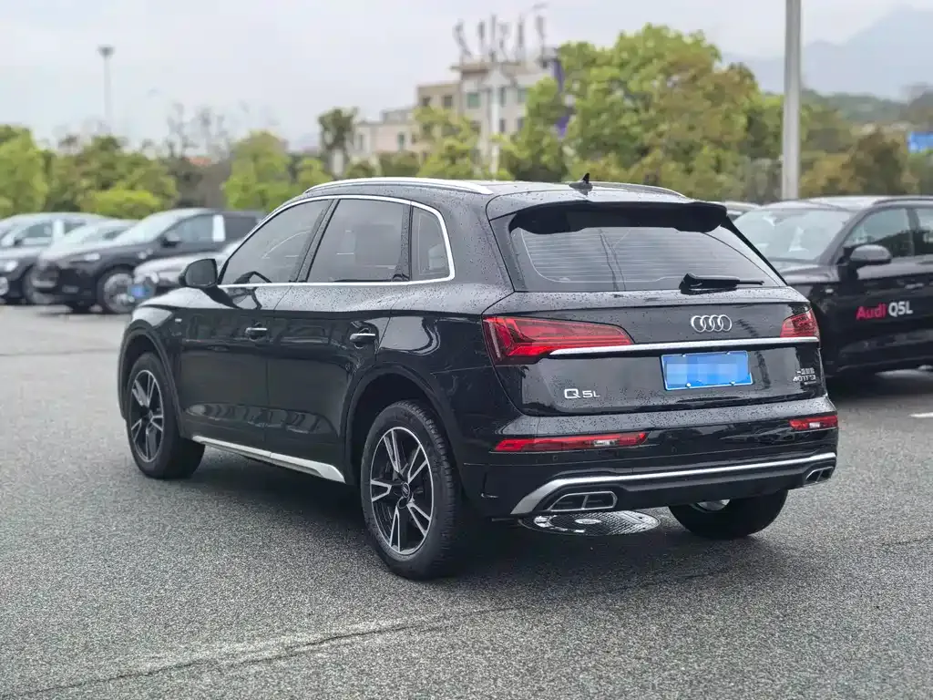 Audi Q5L 2024 из CN, фото 4