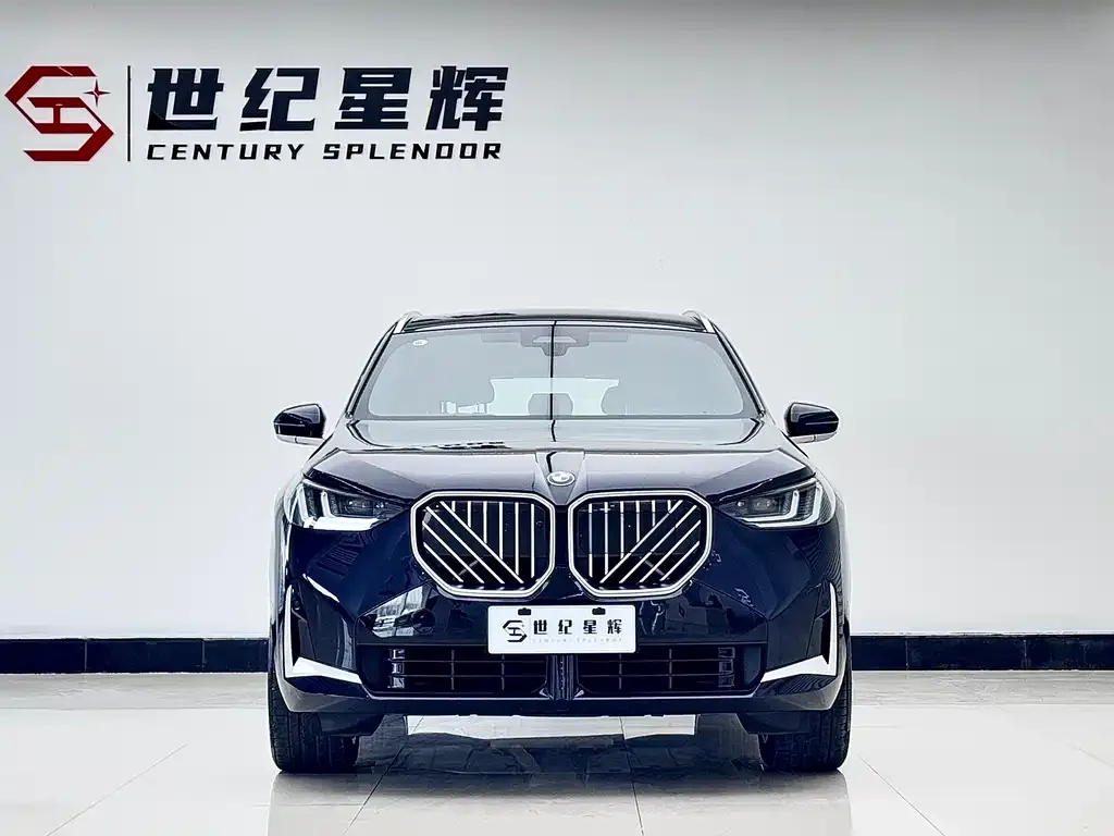 BMW X3 2025 из CN, фото 3