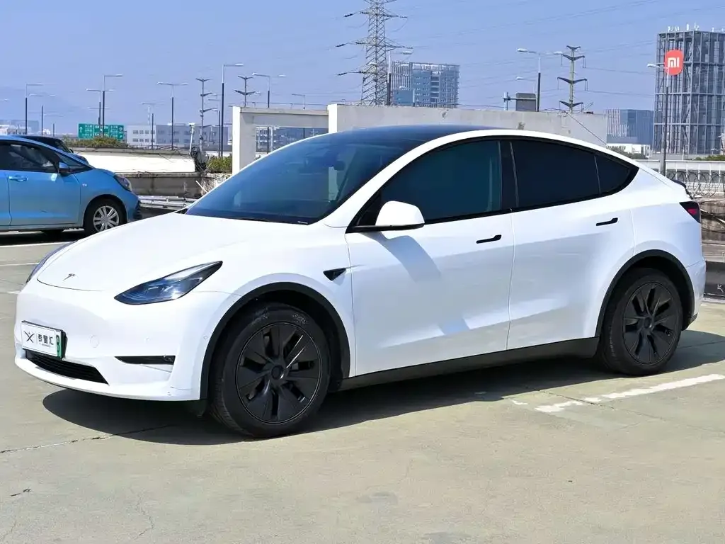 Tesla Model Y 2023 из CN, фото 1