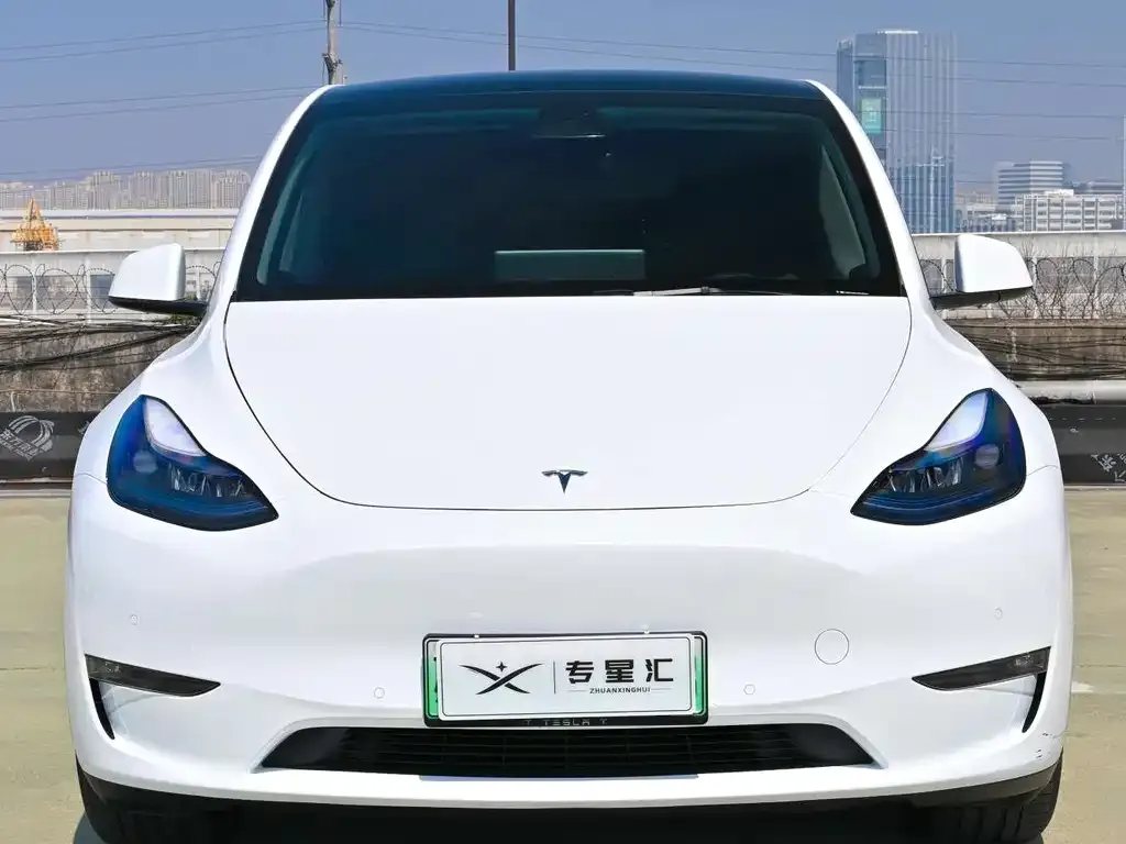 Tesla Model Y 2023 из CN, фото 5