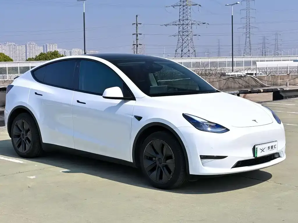 Tesla Model Y 2023 из CN, фото 6