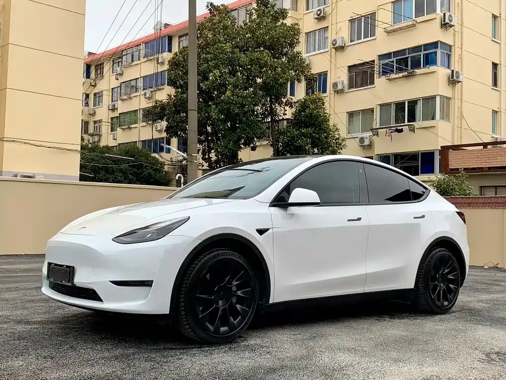 Tesla Model Y 2022 из CN, фото 1