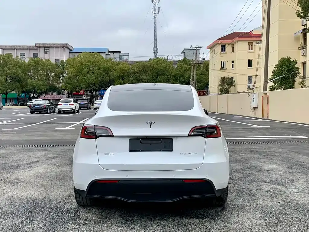 Tesla Model Y 2022 из CN, фото 7