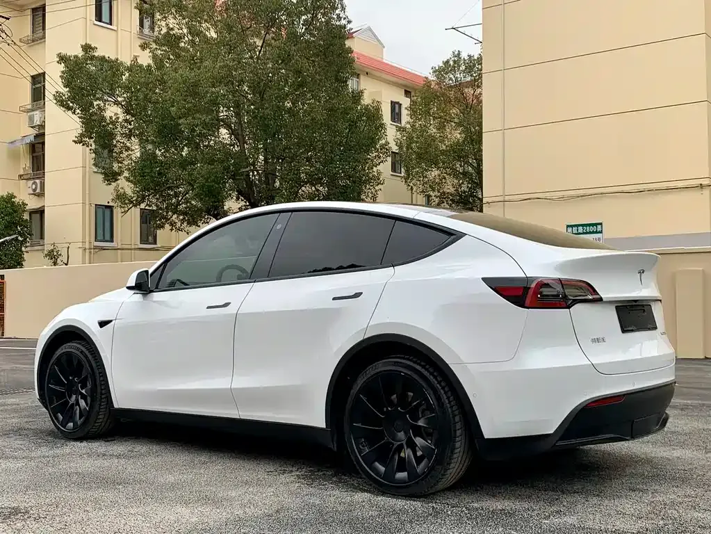 Tesla Model Y 2022 из CN, фото 6
