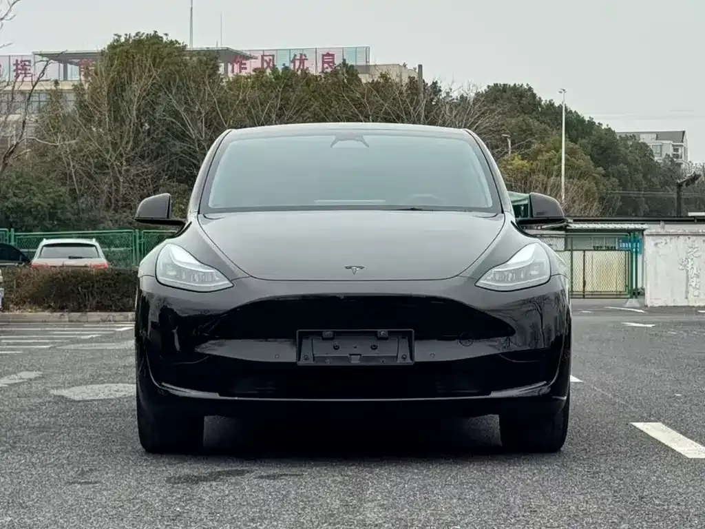 Tesla Model Y — фото 5