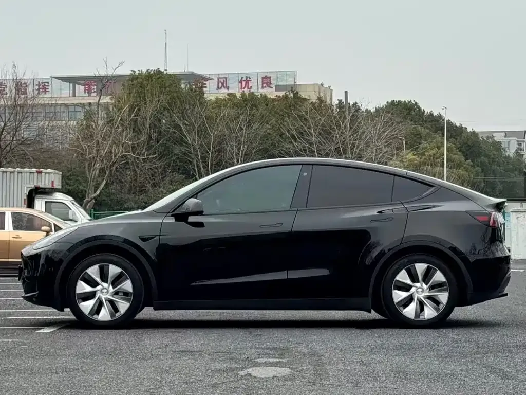 Tesla Model Y — фото 9