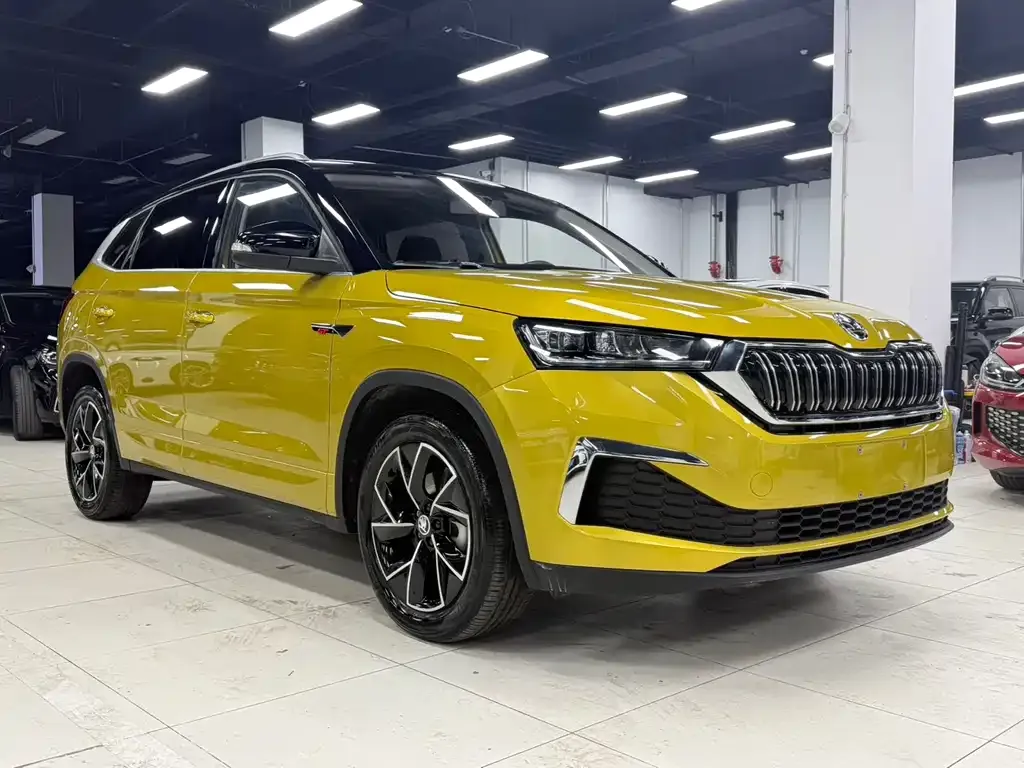 Skoda Kamiq — фото 10
