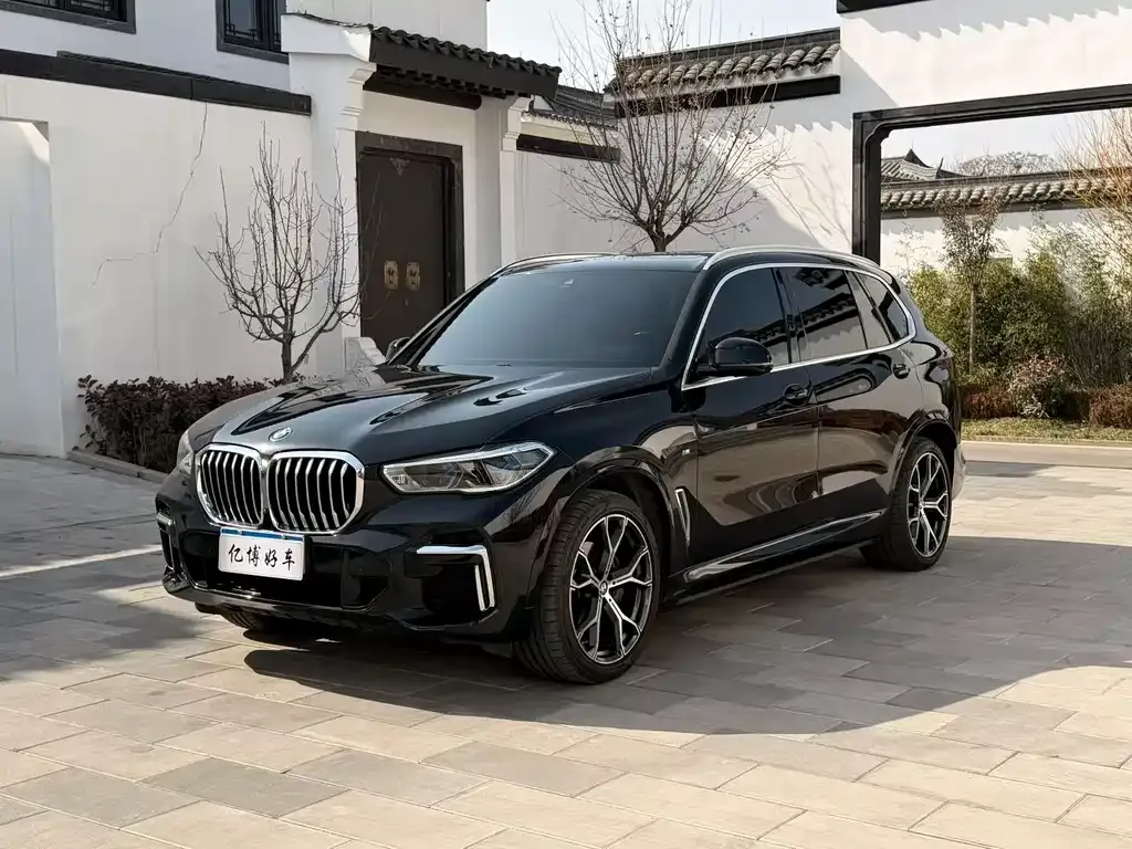 BMW X5 2023 из CN, фото 1