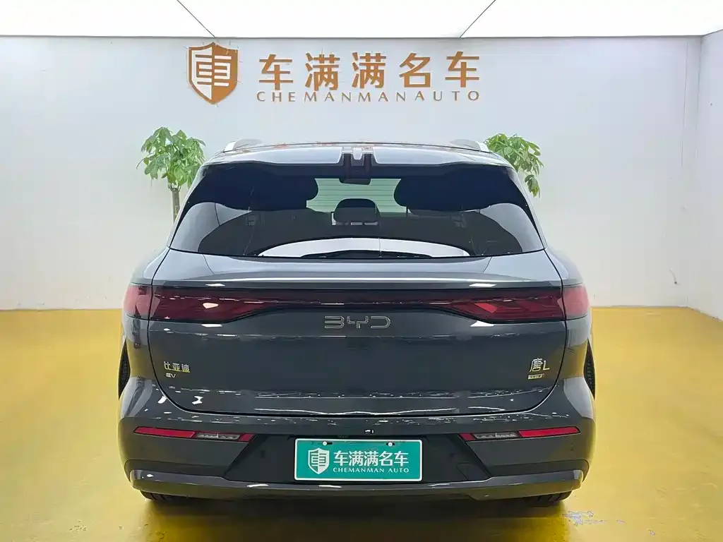 BYD Tang L — фото 3