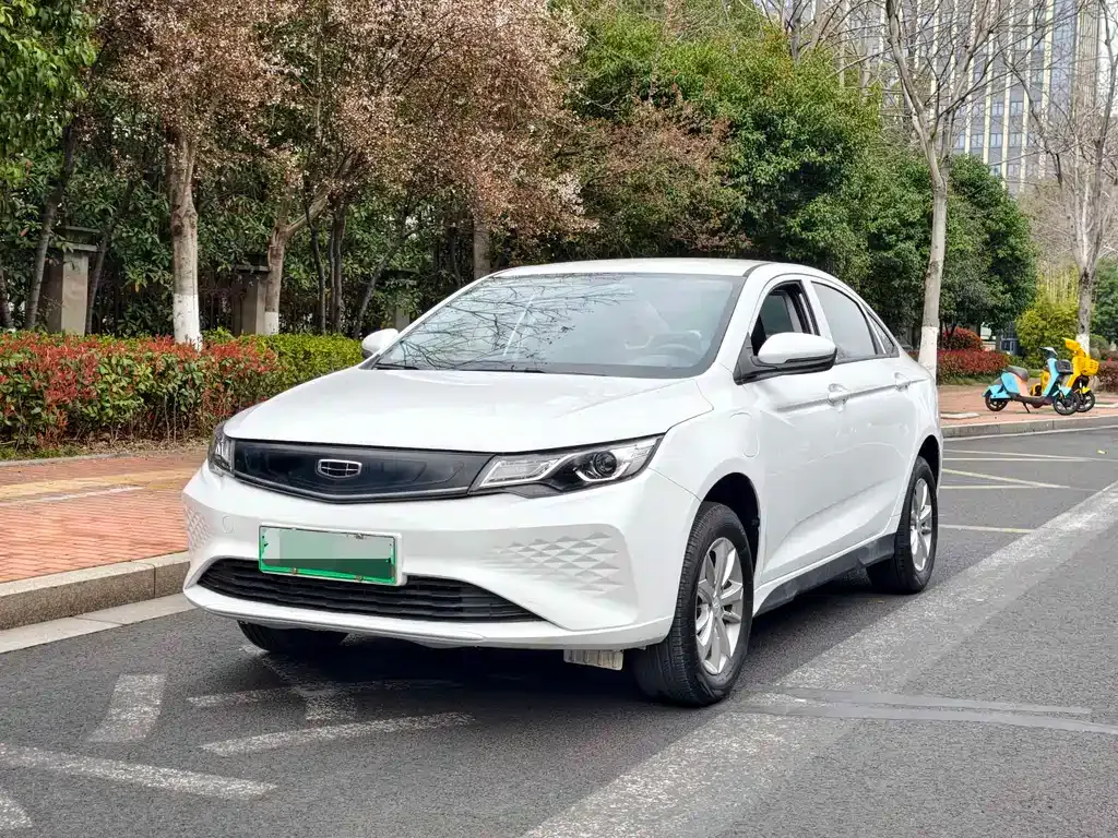 Geely New Energy 2024 из CN, фото 6