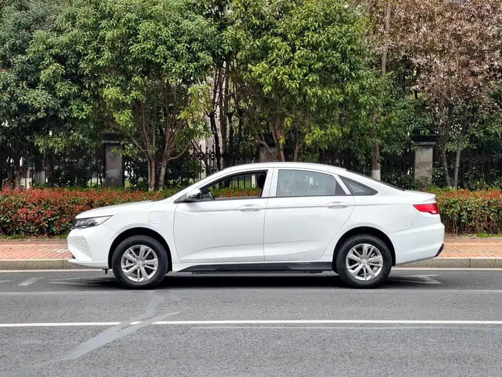 Geely New Energy 2024 из CN, фото 2