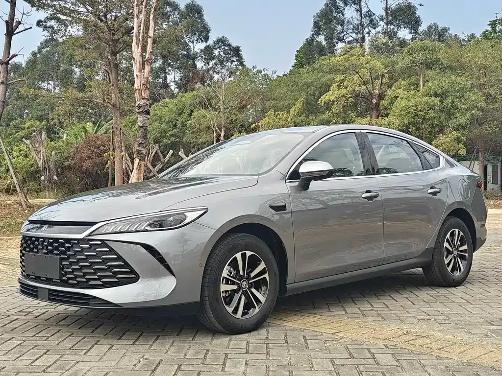 BYD Qin PLUS — фото 1