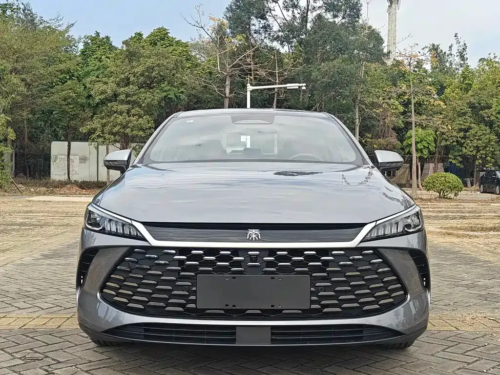 BYD Qin PLUS — фото 7