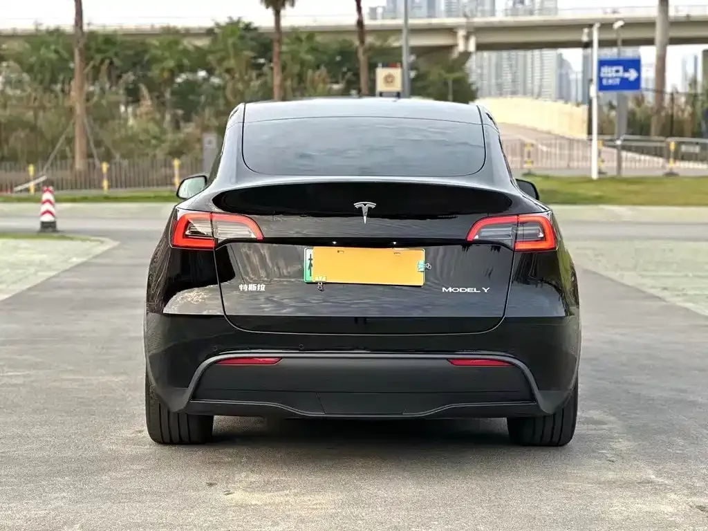 Tesla Model Y — фото 2