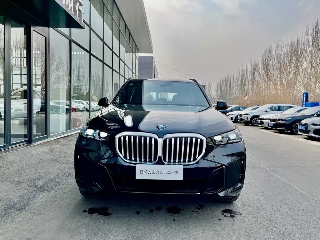BMW X5 2025 из CN, фото 2