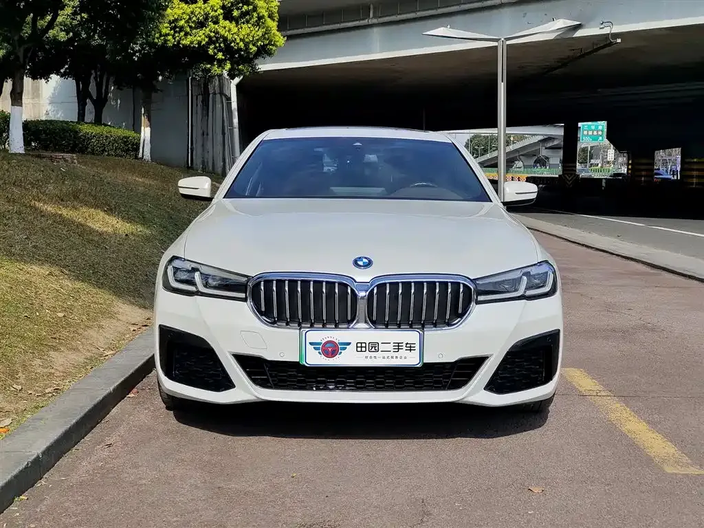 BMW 5 Series New Energy — фото 10