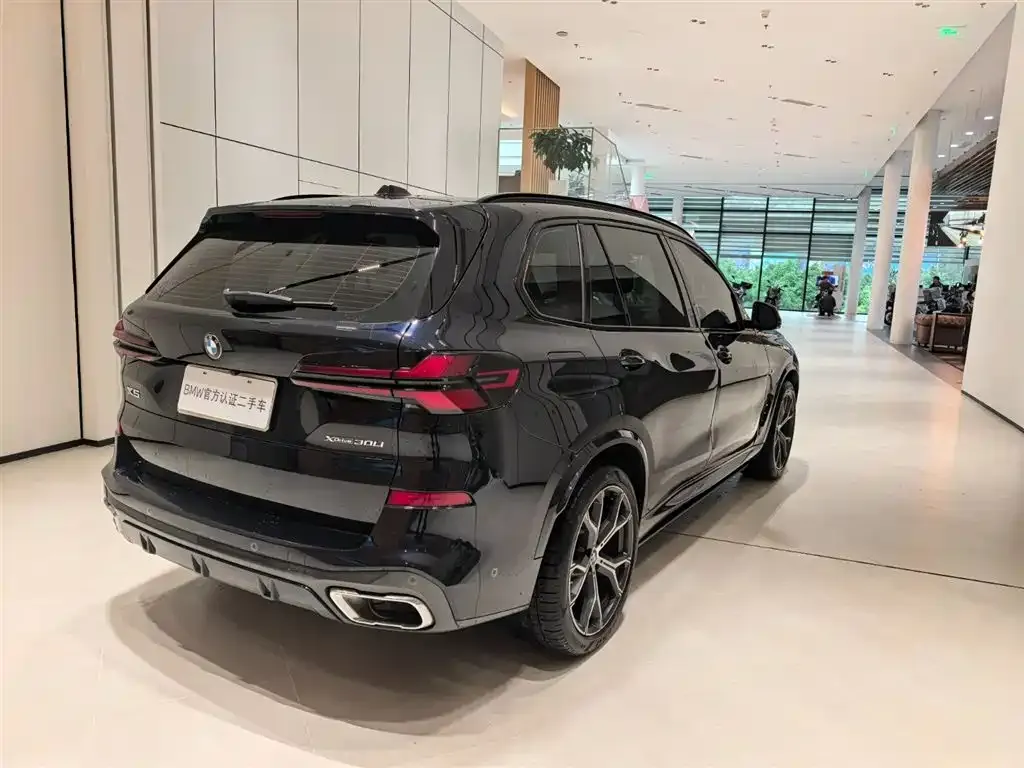 BMW X5 — фото 10