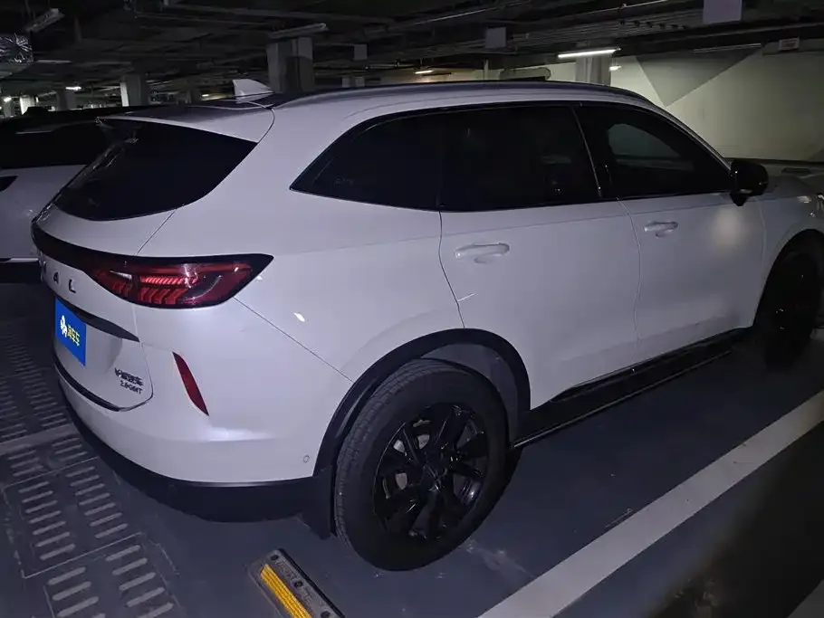 Haval H6 2021 из CN, фото 2