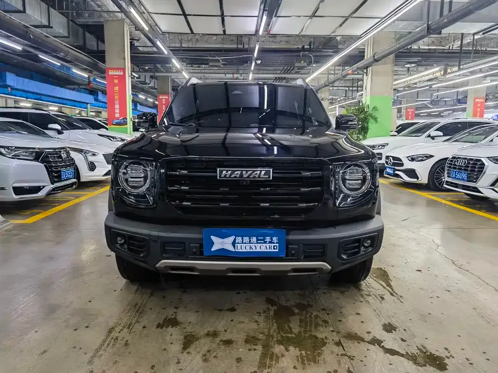 Haval Big Dog — фото 8
